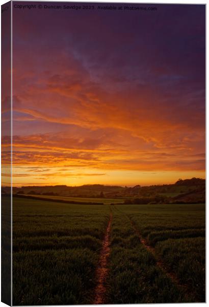 Golden Hour Glory sunset over the fields on the ed Canvas Print by Duncan Savidge