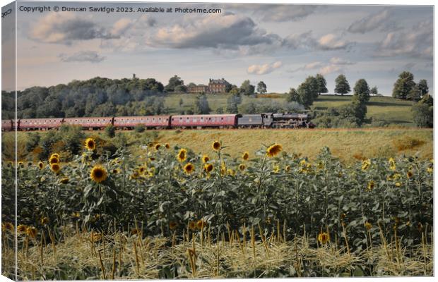 Steam trains and sunflower fields  Canvas Print by Duncan Savidge