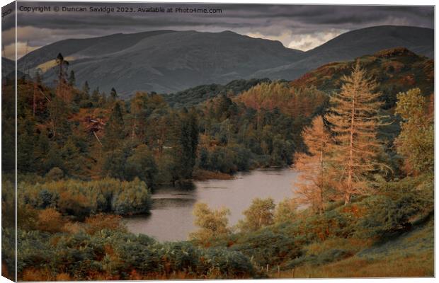 Tarn Hows in the lake district  Canvas Print by Duncan Savidge