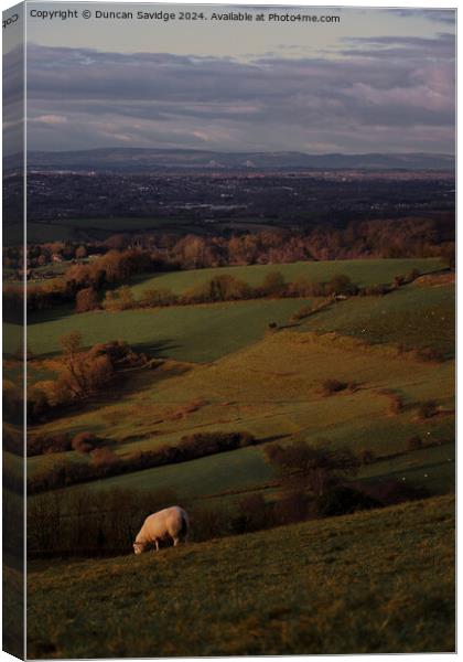 Bristol view  Canvas Print by Duncan Savidge