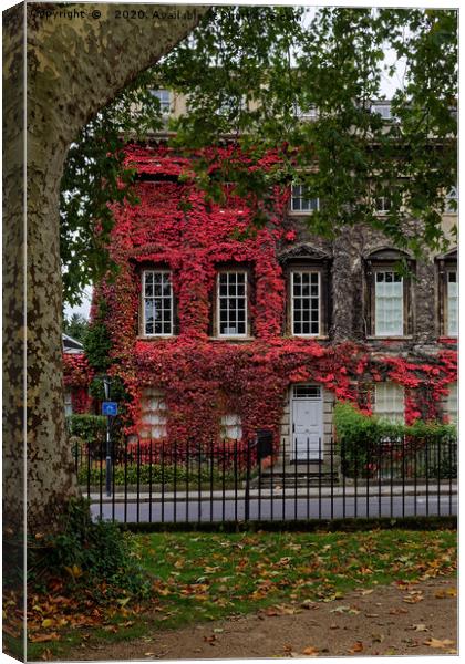 Queens Square, Bath red Ivy Canvas Print by Duncan Savidge