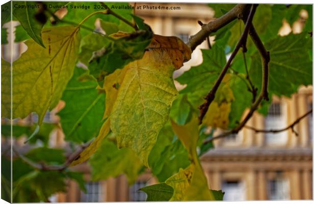 First signs of Autumn at Bath Circus Canvas Print by Duncan Savidge