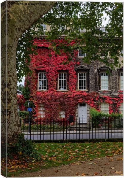 Queens Square, Bath red Ivy Canvas Print by Duncan Savidge