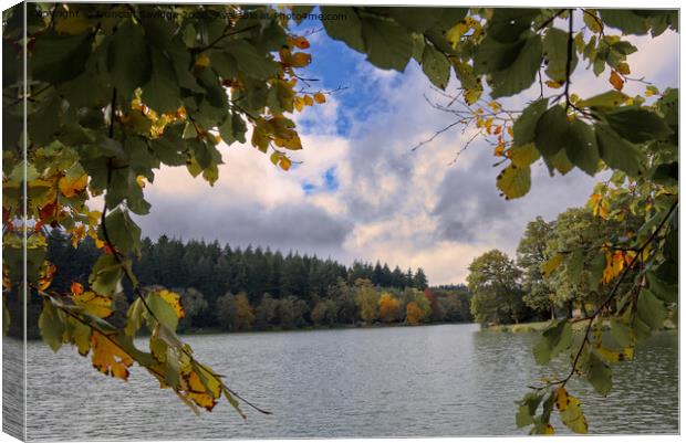 Autumn at Shearwater Lake Longleat  Canvas Print by Duncan Savidge