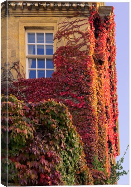 Autumn at Queens Square Bath as the Ivy turns red close up Canvas Print by Duncan Savidge