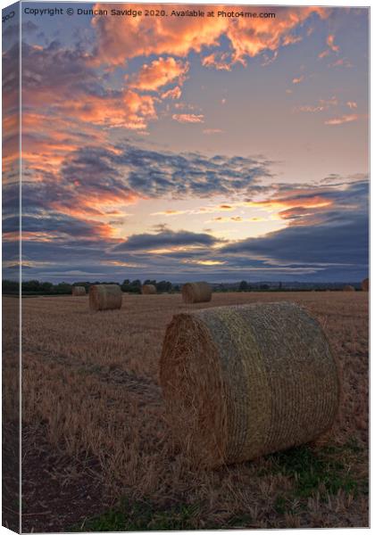 Harvest / hay bale sunset portrait  Canvas Print by Duncan Savidge