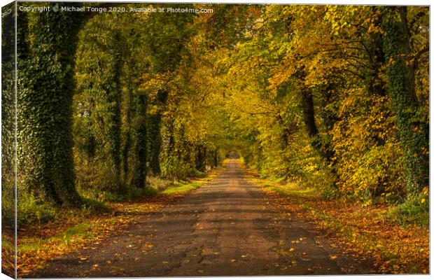 Autumn Driveway Canvas Print by Michael Tonge