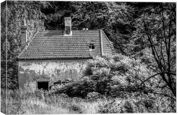 Abandoned Forrest House Canvas Print by Paul Grove