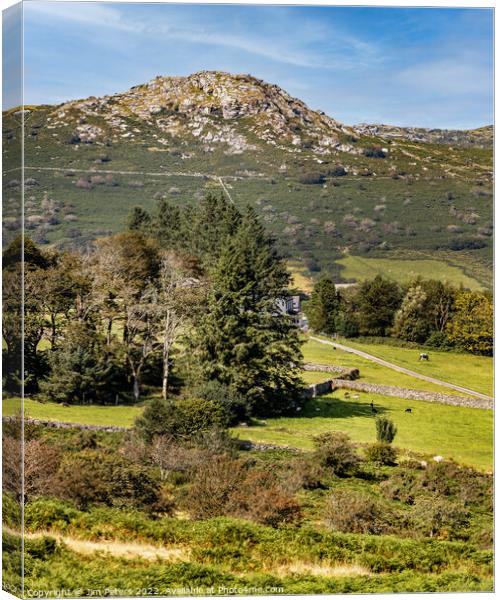 Sharp Tor on Bodmin Moor Canvas Print by Jim Peters