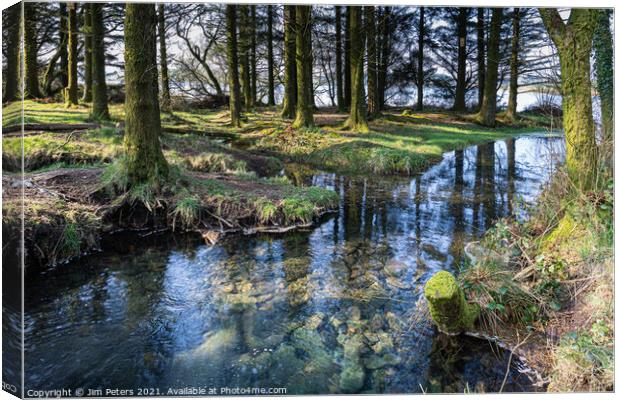 Stream leading into Siblyback Lake Cornwall  Canvas Print by Jim Peters