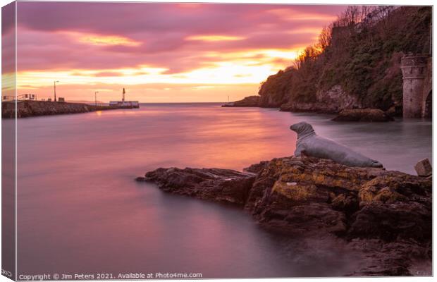Nelson watching the sunrise in Looe Harbour Cornwall Canvas Print by Jim Peters