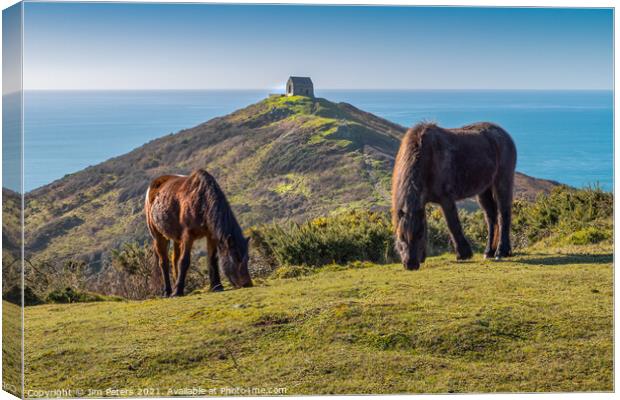 Horses at Rame Head Cornwall Canvas Print by Jim Peters