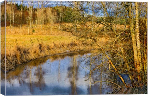 Calm Rural River in Golden Sunlight Canvas Print by Taina Sohlman