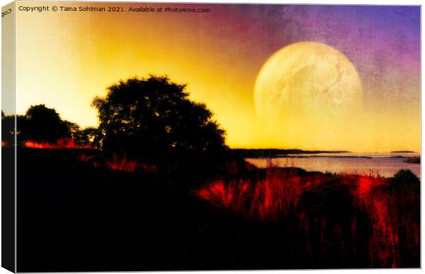 Fantasy Landscape with Planet Digital Art Canvas Print by Taina Sohlman