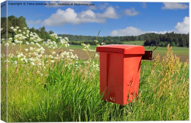 Red Mailbox in the Country Canvas Print by Taina Sohlman