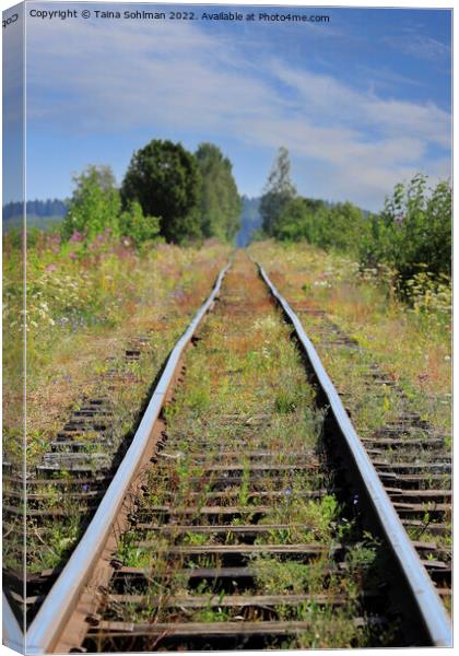 Narrow Gauge Railway in the Summer  Canvas Print by Taina Sohlman