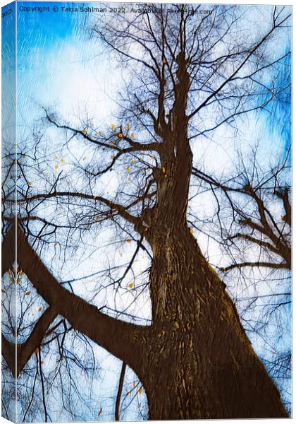 Bare Tree Against Sky in Autumn Digital Art Canvas Print by Taina Sohlman