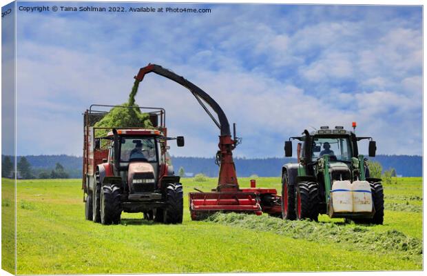 Two Tractors Harvesting Grass for Cattle Feed Canvas Print by Taina Sohlman