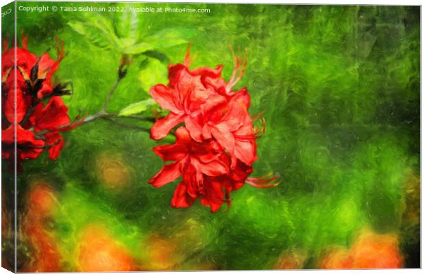 Red Rhododendron Flowers Digital Art Canvas Print by Taina Sohlman
