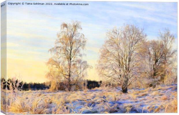 Morning Sunlight on Frosted Trees on Christmas Day Canvas Print by Taina Sohlman