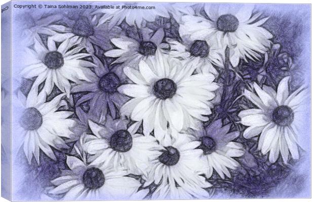 Rudbeckia Flowers Digital Art in Tones of Lavender Canvas Print by Taina Sohlman