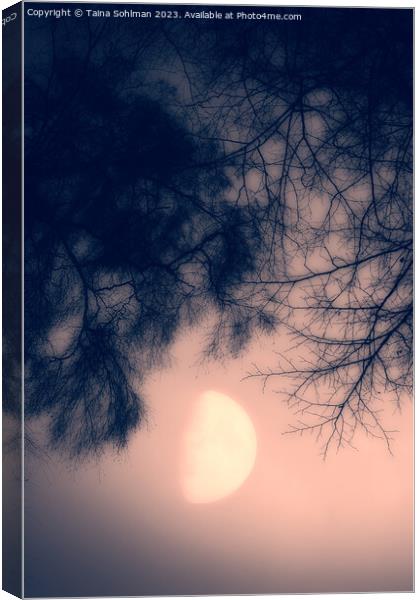 Misty February Moon in the Pink Sky Vertical Canvas Print by Taina Sohlman