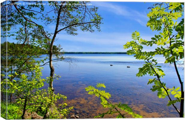 Midsummer Eve at the Lake Canvas Print by Taina Sohlman