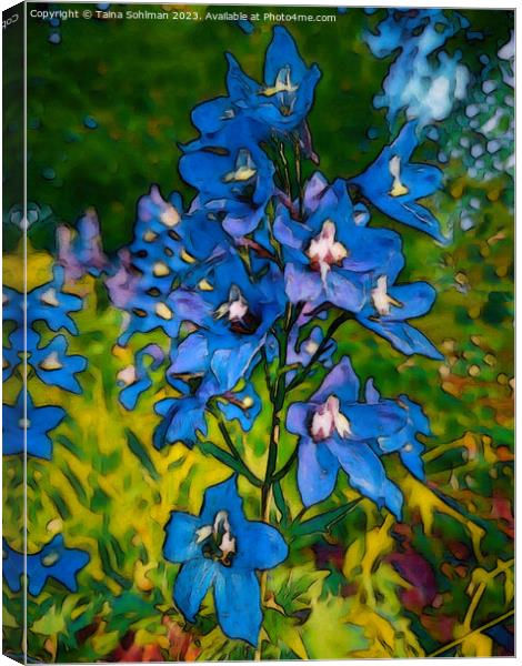 Blue Delphinium Flowers  Canvas Print by Taina Sohlman