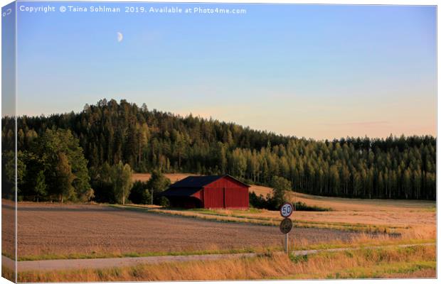 Nightfall in the Country Canvas Print by Taina Sohlman