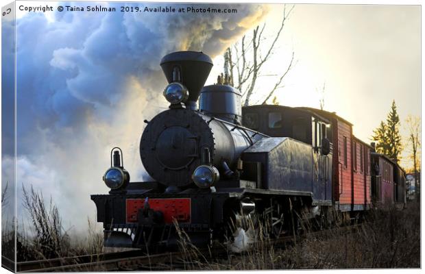 Steam Train Sohvi HKR5 Pulling Carriages Canvas Print by Taina Sohlman