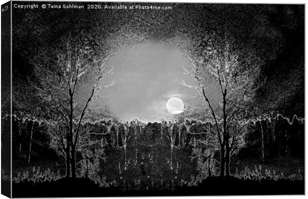 Full Moon Magic, Monochrome Canvas Print by Taina Sohlman
