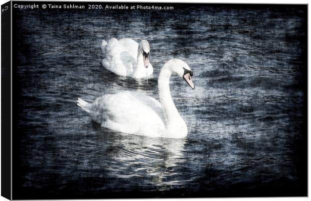 Dreamy Pair of Swans Canvas Print by Taina Sohlman