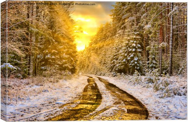 Winter Sunset in Forest Canvas Print by Taina Sohlman