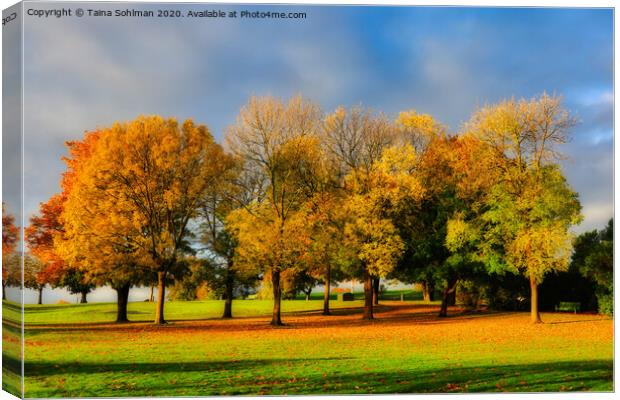 Beautiful Colours of Autumn in the Park Canvas Print by Taina Sohlman