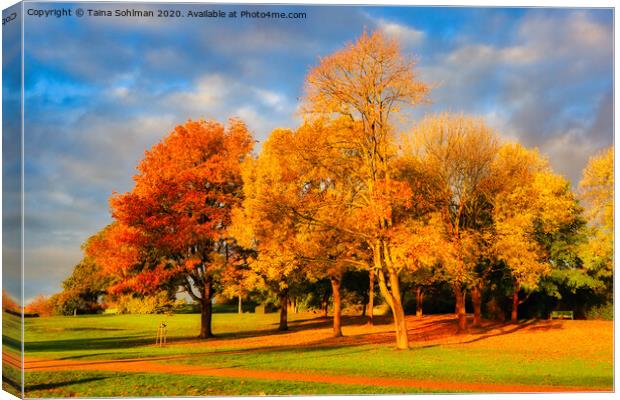 Autumnal Trees in the Park Canvas Print by Taina Sohlman