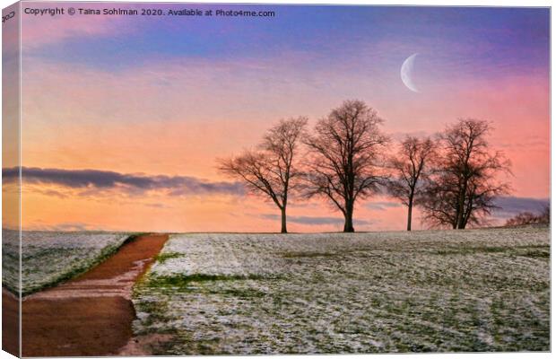 Early Winter Morning Magic  Canvas Print by Taina Sohlman