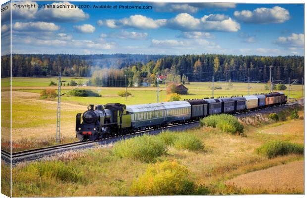 Steam Train Ukko-Pekka Traveling Through Countryside Canvas Print by Taina Sohlman