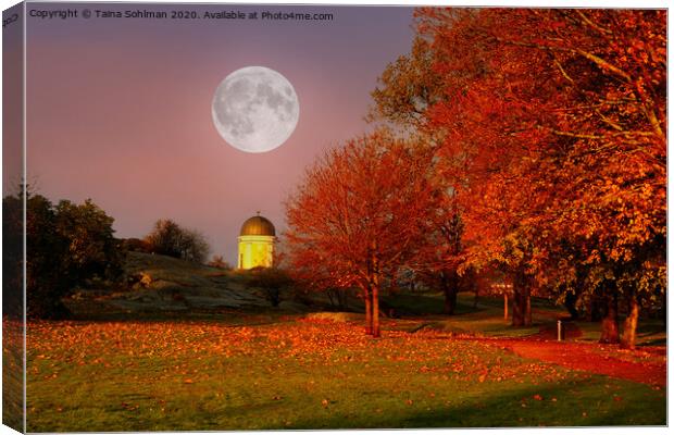 Golden Hour Full Moon in Kaivopuisto Park, Finland Canvas Print by Taina Sohlman