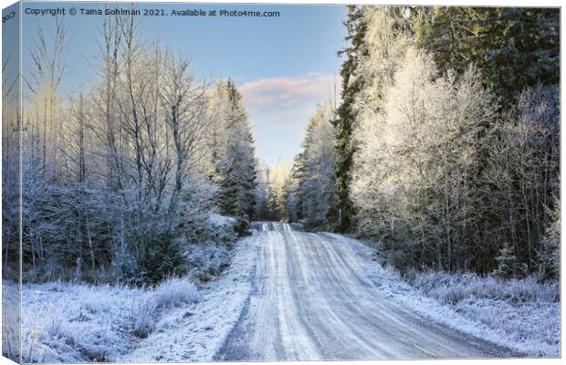 Country Road in Middle of Winter Canvas Print by Taina Sohlman
