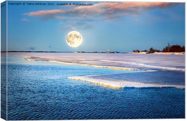 Full Moon Magic over Springtime Sea Canvas Print by Taina Sohlman