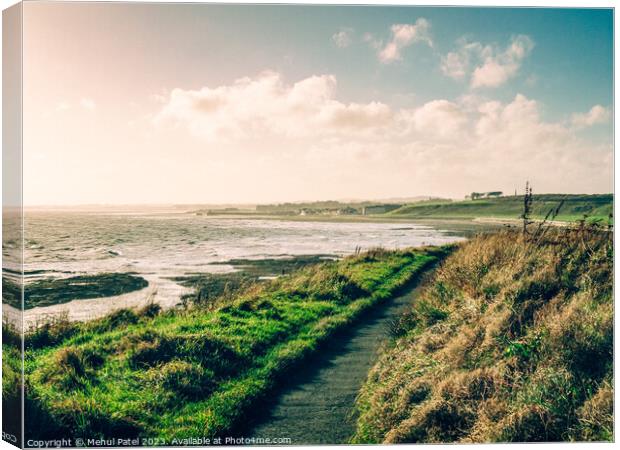 Coastal path by Seaton Cliffs near Arbroath, Scotland.  Canvas Print by Mehul Patel