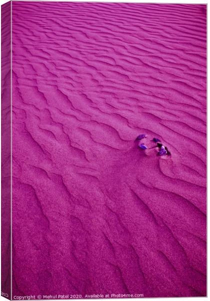 Layers of sand on the dunes of Maspalomas with digital purple filter, Gran Canaria, Canary Islands, Spain Canvas Print by Mehul Patel