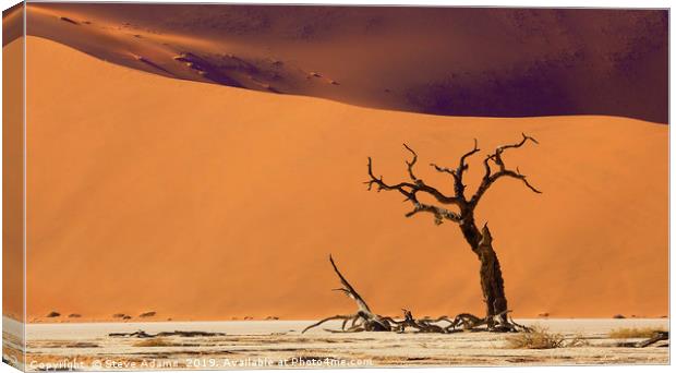 Dead Tree at Deadvlei, Namibia Canvas Print by Steve Adams