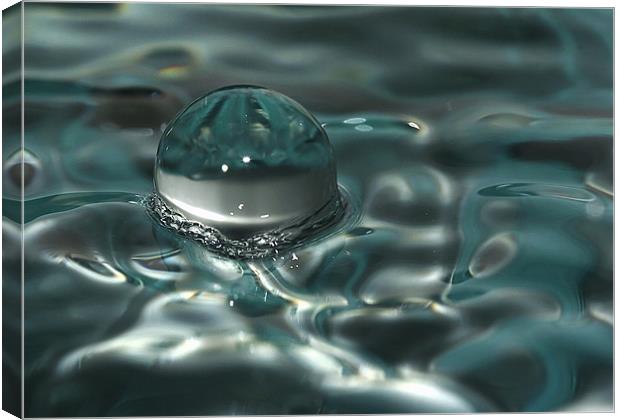 Water drop Canvas Print by Klara Memisevic