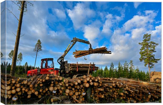 Forest machine lifting timber to a pile of timber Canvas Print by Jonas Rönnbro