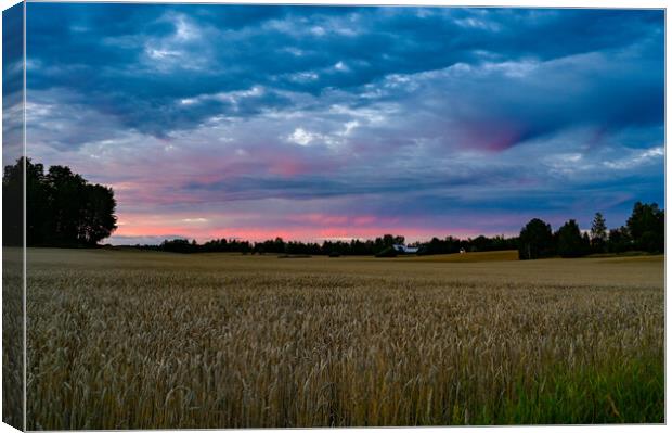 Dramatic sunset over fields near Kumla Sweden Canvas Print by Jonas Rönnbro