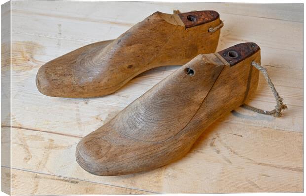 vintage wooden shoe lasts standing on wooden bench Canvas Print by Jonas Rönnbro