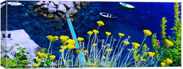 Yellow flowers and the blue ocean - Amalfi Coast Canvas Print by Alessandro Ricardo Uva