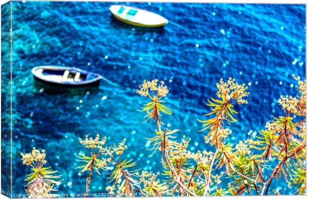 Small wooden boats - Amalfi Canvas Print by Alessandro Ricardo Uva