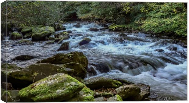 East Lyn river Canvas Print by Brenda Belcher